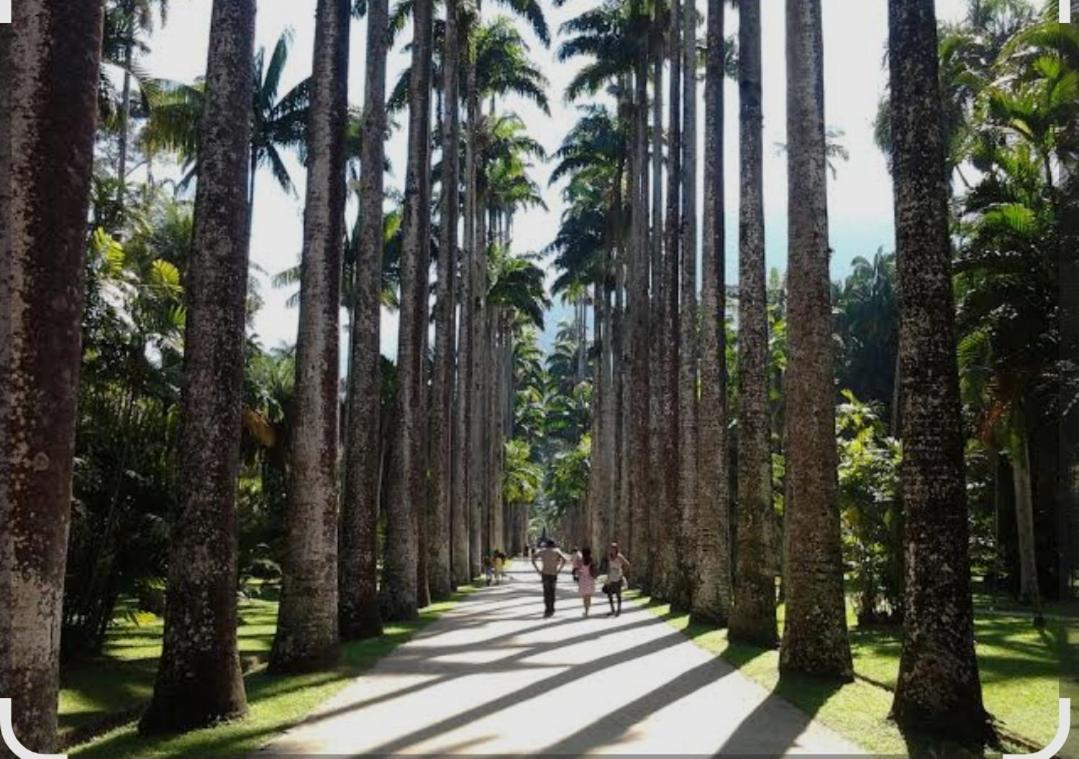 Aconchego E Requinte Na Zona Sul Da Maravilhosa Apartamento